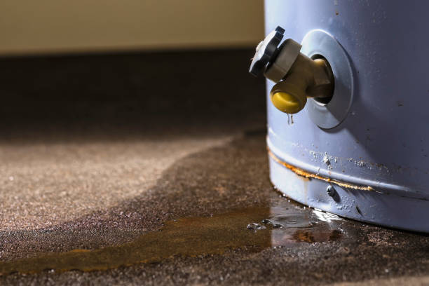 Best Water damage cleanup near me  in Haubstadt, IN