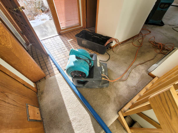 Best Sewage cleanup and water damage restoration  in Haubstadt, IN