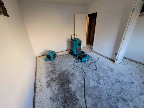 Best Flooded house restoration  in Haubstadt, IN