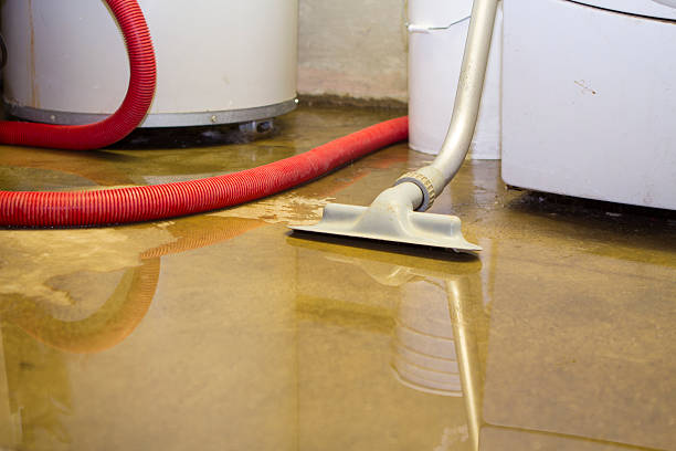 Best Carpet water damage restoration  in Haubstadt, IN