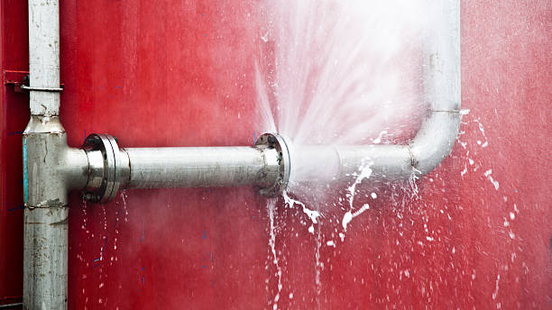 Best Flooded house restoration  in Haubstadt, IN